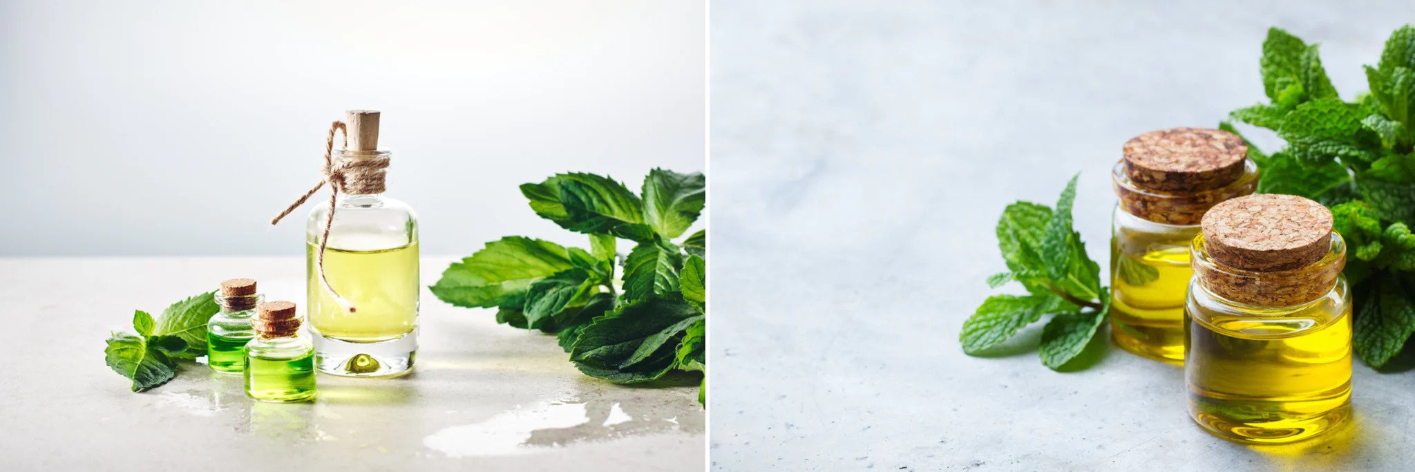 ezgif.com-webp-to-jpg (1)